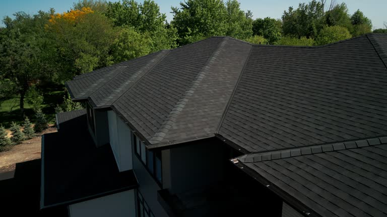 Best Solar Panel Roofing Installation  in River Rouge, MI