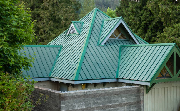 Best Roof Coating and Sealing  in River Rouge, MI