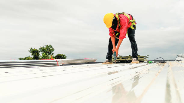 Best Metal Roofing Installation  in River Rouge, MI