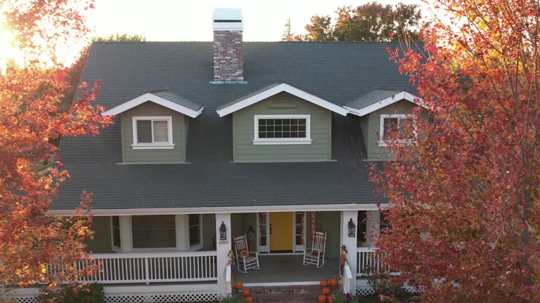 Best Chimney Flashing Repair  in River Rouge, MI