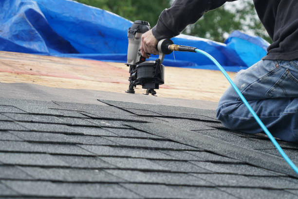 Best 4 Ply Roofing  in River Rouge, MI