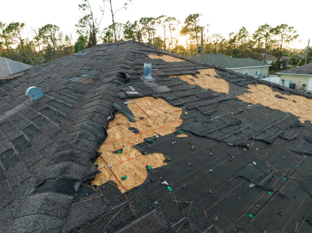 Best Emergency Roof Repair Services  in River Rouge, MI