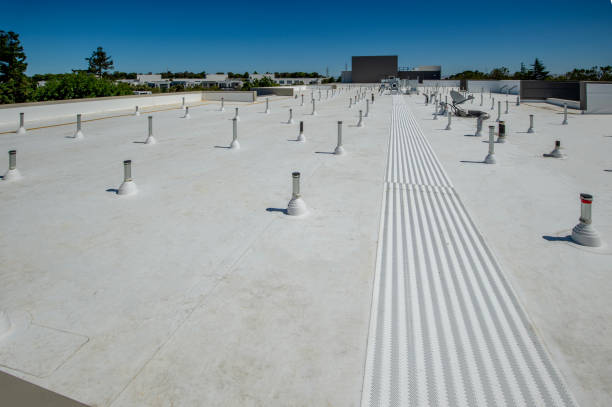 Best Metal Roofing Installation  in River Rouge, MI